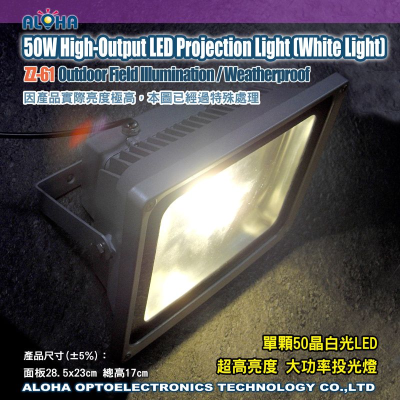 大功率LED投光燈50W(白光)